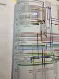 Harley Davidson Softail electronic test manual  2013 diagnose faults ! Genuine